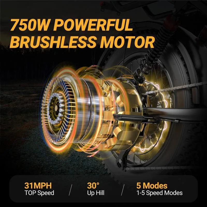 750W brushless motor, 1500W peak