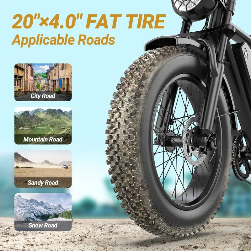 20 by 4.0 inch fat tires for all roads
